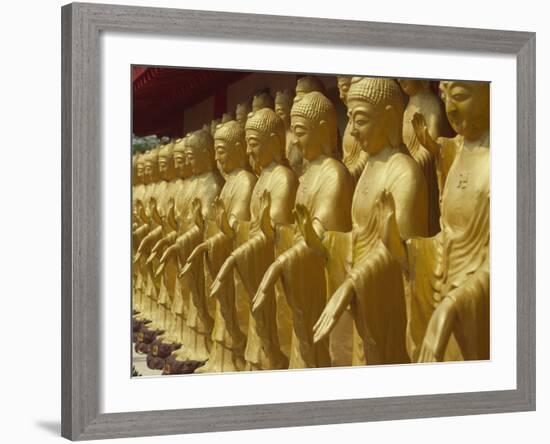 Standing Gold-Colored Buddha Statues at a Buddhist Shrine, Foukuangshan Temple, Taiwan-Steve Satushek-Framed Photographic Print