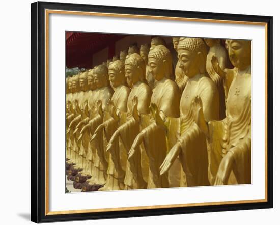 Standing Gold-Colored Buddha Statues at a Buddhist Shrine, Foukuangshan Temple, Taiwan-Steve Satushek-Framed Photographic Print