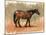 Standing Horse Study I-Victoria Barnes-Mounted Art Print
