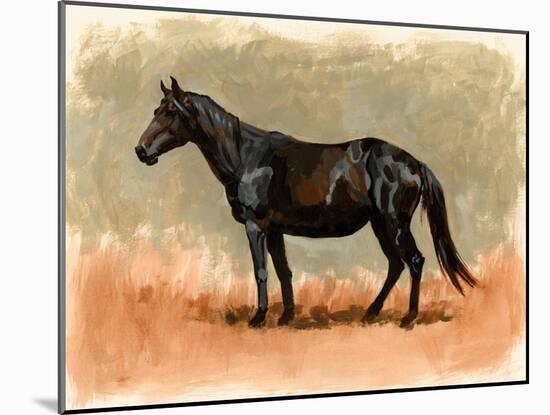 Standing Horse Study II-Victoria Barnes-Mounted Art Print