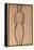 Standing Nude pencil on paper by Amedeo Modigliani-Amedeo Modigliani-Framed Premier Image Canvas