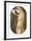 Standing Nude-Alain Bonnefoit-Framed Collectable Print