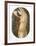 Standing Nude-Alain Bonnefoit-Framed Collectable Print