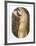 Standing Nude-Alain Bonnefoit-Framed Collectable Print