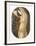 Standing Nude-Alain Bonnefoit-Framed Collectable Print