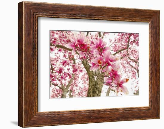 Standing on the Corner, Winslow Arizona-George Oze-Framed Photographic Print