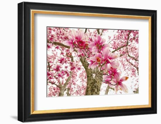 Standing on the Corner, Winslow Arizona-George Oze-Framed Photographic Print