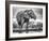 Standing Proud-Jaco Marx-Framed Photographic Print