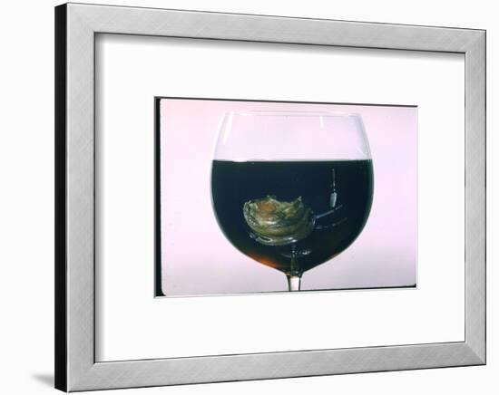 Standing Rib Roast Reflected in a Glass of Red Wine-John Dominis-Framed Photographic Print