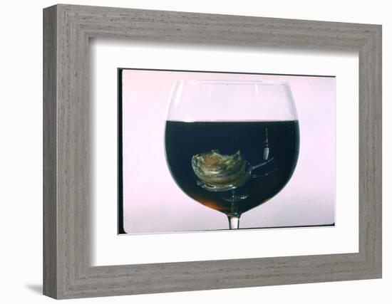 Standing Rib Roast Reflected in a Glass of Red Wine-John Dominis-Framed Photographic Print