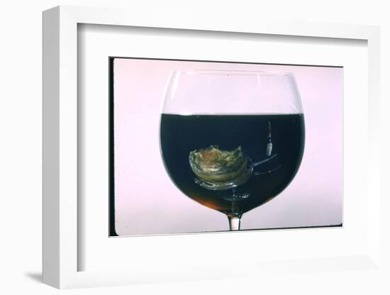 Standing Rib Roast Reflected in a Glass of Red Wine-John Dominis-Framed Photographic Print