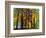 Standing Room Only-Mandy Budan-Framed Giclee Print