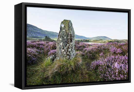Standing Stone and Heather, Creggenan Lake, North Wales, Wales, United Kingdom, Europe-Janette Hill-Framed Premier Image Canvas
