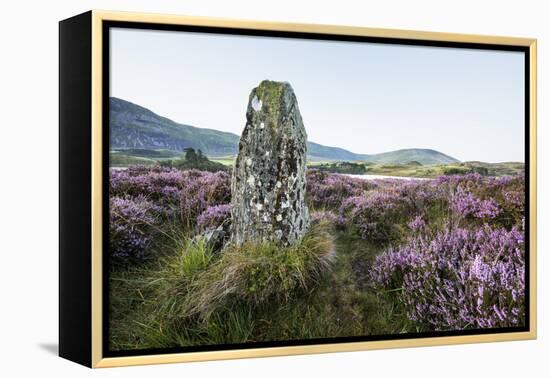 Standing Stone and Heather, Creggenan Lake, North Wales, Wales, United Kingdom, Europe-Janette Hill-Framed Premier Image Canvas