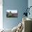 Standing Stone and Heather, Creggenan Lake, North Wales, Wales, United Kingdom, Europe-Janette Hill-Photographic Print displayed on a wall