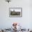 Standing Stone and Heather, Creggenan Lake, North Wales, Wales, United Kingdom, Europe-Janette Hill-Framed Photographic Print displayed on a wall