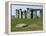 Standing Stone Circle of Stonehenge, 3000-2000BC, UNESCO World Heritage Site, Wiltshire, England-Ethel Davies-Framed Premier Image Canvas