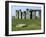 Standing Stone Circle of Stonehenge, 3000-2000BC, UNESCO World Heritage Site, Wiltshire, England-Ethel Davies-Framed Photographic Print