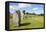 Standing stones at Avebury stone circle, Neolithic stone circle, Avebury, Wiltshire, England-Neale Clark-Framed Premier Image Canvas