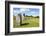 Standing stones at Avebury stone circle, Neolithic stone circle, Avebury, Wiltshire, England-Neale Clark-Framed Photographic Print