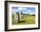 Standing stones at Avebury stone circle, Neolithic stone circle, Avebury, Wiltshire, England-Neale Clark-Framed Photographic Print