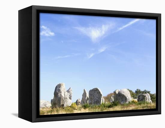 Standing Stones, Carnac, Morbihan, Brittany, France-David Hughes-Framed Premier Image Canvas