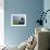 Standing Stones in the Menec Alignment at Carnac, Brittany, France-Philippe Clement-Framed Photographic Print displayed on a wall