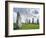 Standing Stones of Callanish, Isle of Lewis, Western Isles, Scotland-Martin Zwick-Framed Photographic Print