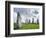 Standing Stones of Callanish, Isle of Lewis, Western Isles, Scotland-Martin Zwick-Framed Photographic Print