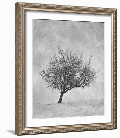 Standing Strong-Trent Foltz-Framed Art Print