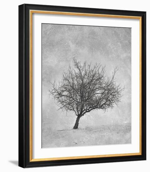 Standing Strong-Trent Foltz-Framed Art Print