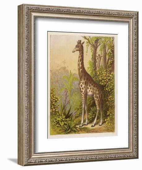 Standing Tall in the African Jungle-null-Framed Art Print