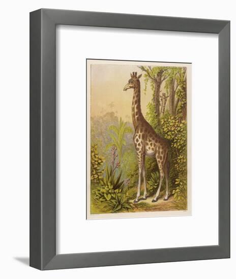 Standing Tall in the African Jungle-null-Framed Art Print