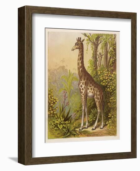 Standing Tall in the African Jungle-null-Framed Art Print