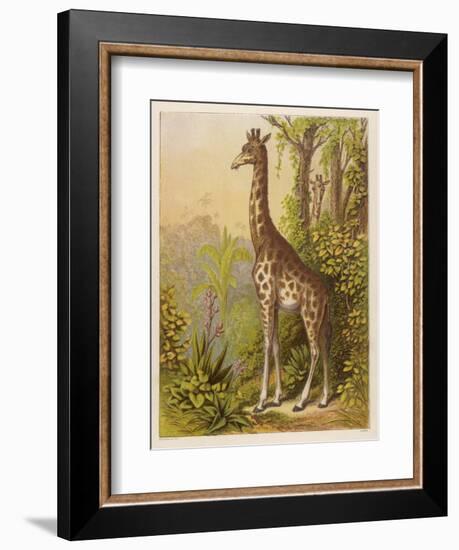 Standing Tall in the African Jungle-null-Framed Art Print