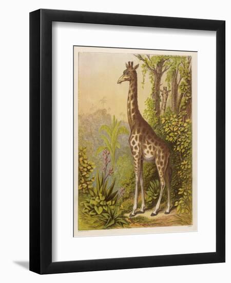 Standing Tall in the African Jungle-null-Framed Art Print