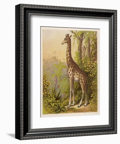 Standing Tall in the African Jungle-null-Framed Art Print