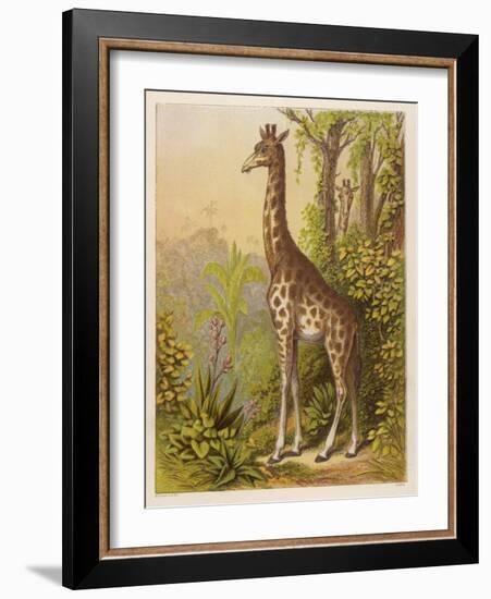 Standing Tall in the African Jungle-null-Framed Art Print