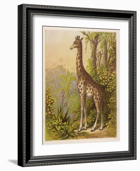 Standing Tall in the African Jungle-null-Framed Art Print