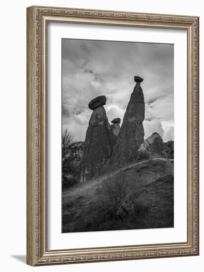 Standing Tall-Nhiem Hoang The-Framed Giclee Print