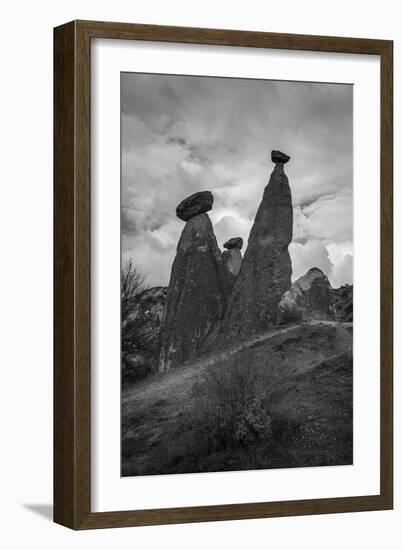 Standing Tall-Nhiem Hoang The-Framed Giclee Print