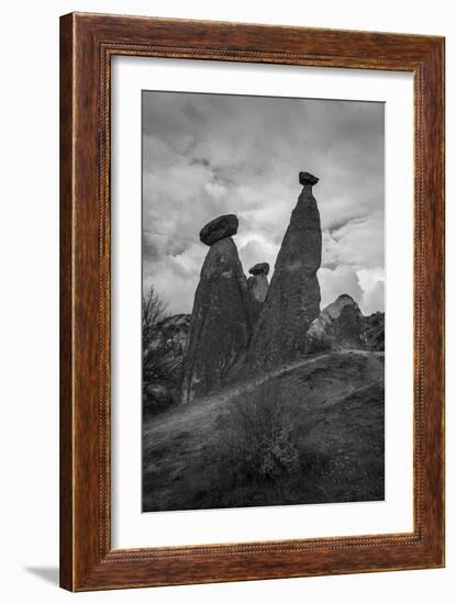 Standing Tall-Nhiem Hoang The-Framed Giclee Print