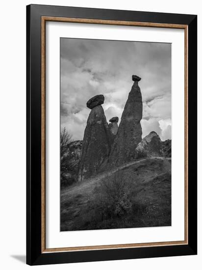 Standing Tall-Nhiem Hoang The-Framed Giclee Print