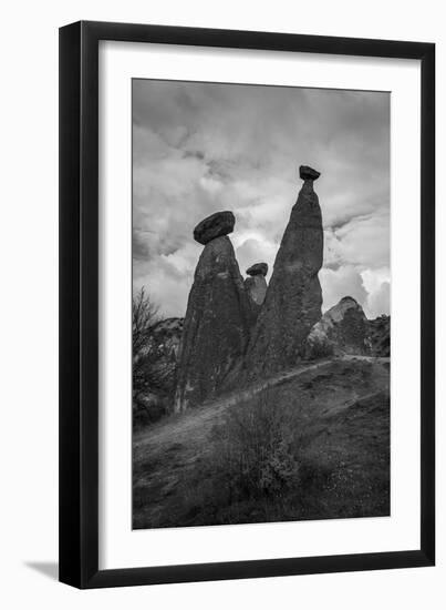 Standing Tall-Nhiem Hoang The-Framed Giclee Print