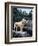 Standing Tall-Jeff Tift-Framed Giclee Print