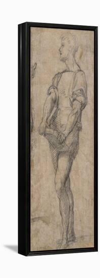 Standing Youth Holding a Book, Ca 1515-Andrea del Sarto-Framed Premier Image Canvas