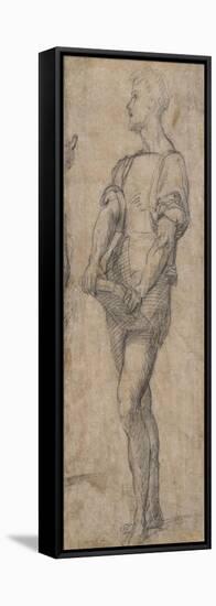 Standing Youth Holding a Book, Ca 1515-Andrea del Sarto-Framed Premier Image Canvas