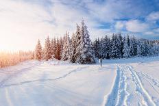 Magical Winter Landscape, Background with Some Soft Highlights and Snow Flakes-standret-Framed Stretched Canvas