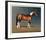 Stanhopes Diddicoy-Susan Crawford-Framed Collectable Print