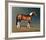 Stanhopes Diddicoy-Susan Crawford-Framed Collectable Print